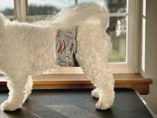 Crack a Nut Belly Band