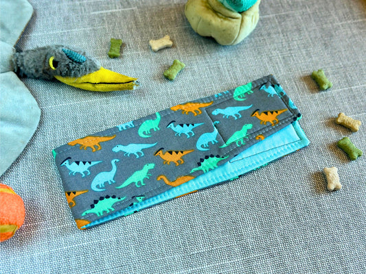 Dino Pop Belly Band