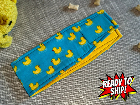 Duck, Duck Belly Band
