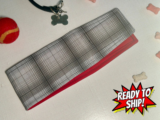 Gray Matter Belly Band (RTS)