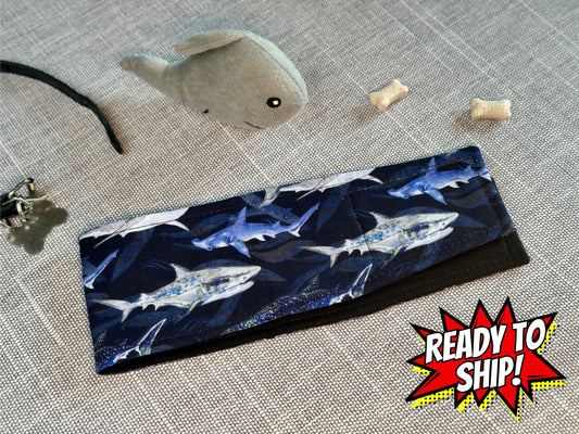 Night Swim Belly Band