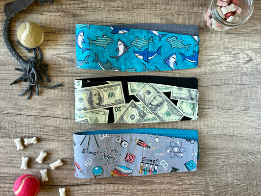 Belly Band (sharks, money, science)